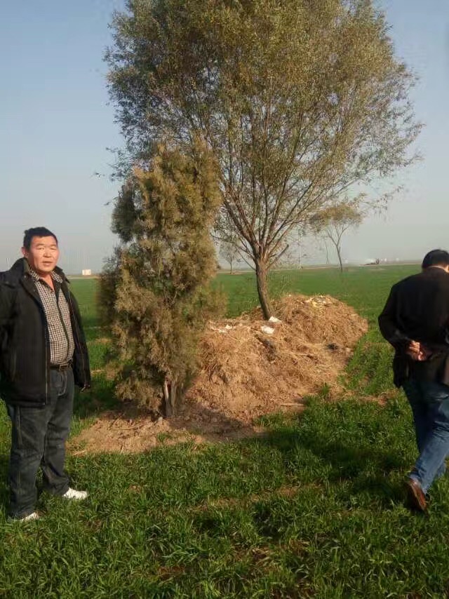 ***案例（五）